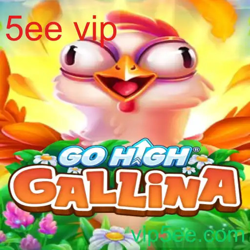 GoHighGallina
